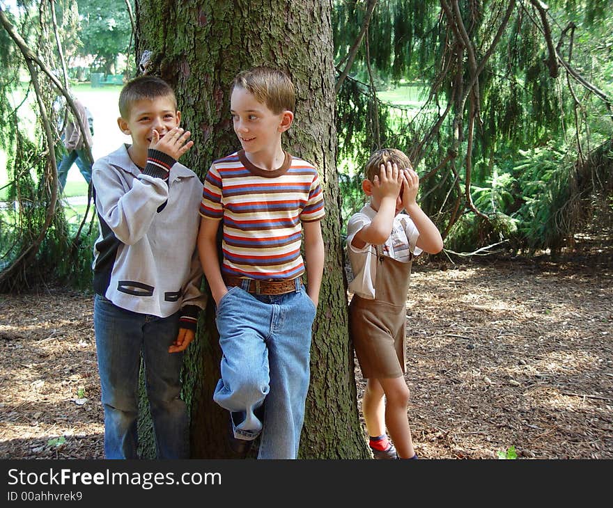 Boys hanging around a tree outside. Boys hanging around a tree outside