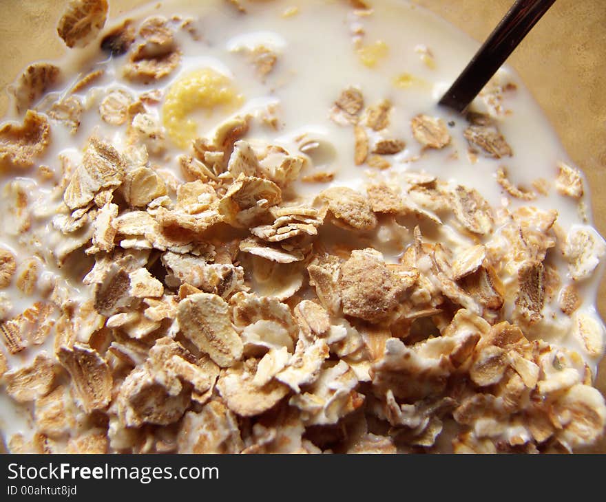 Difference cereal, milk and spoon in the dish. Difference cereal, milk and spoon in the dish