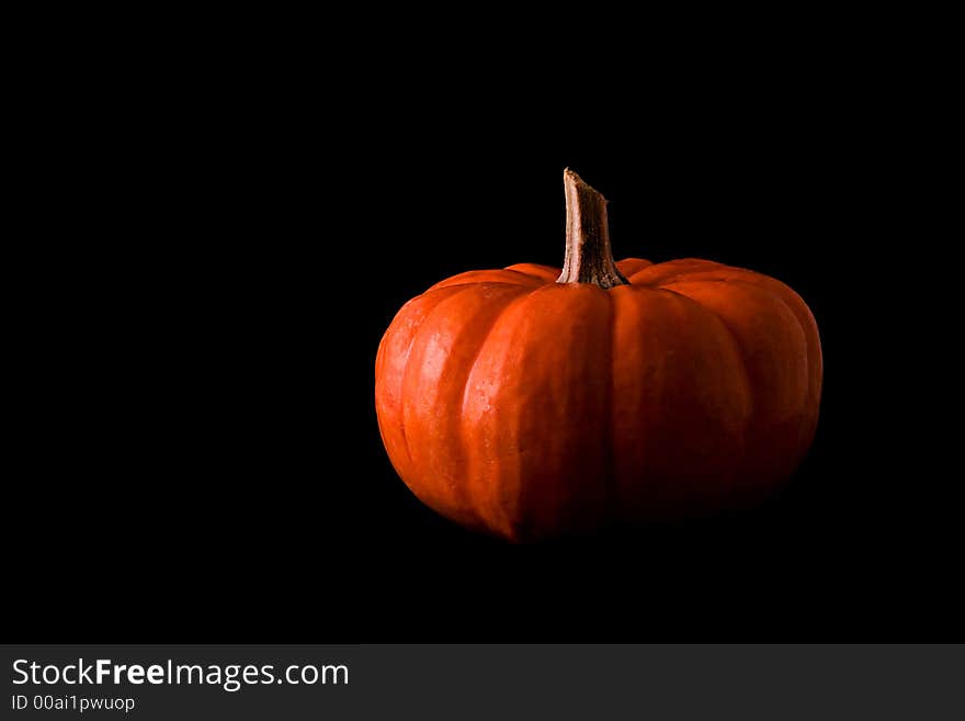 Shadowed Pumpkin