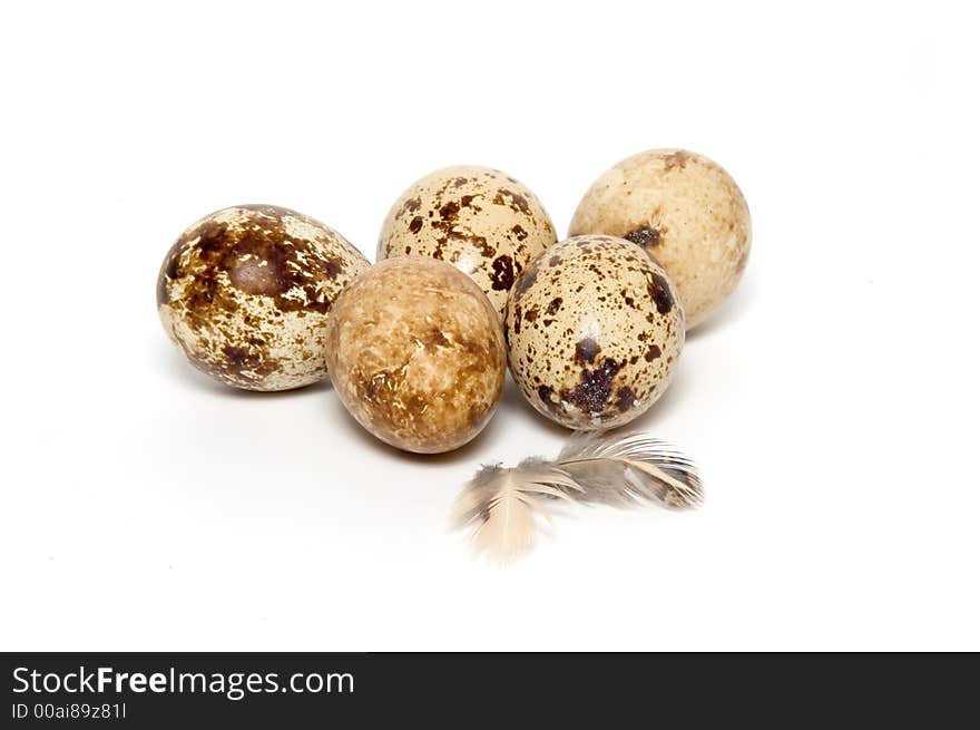 Quail eggs