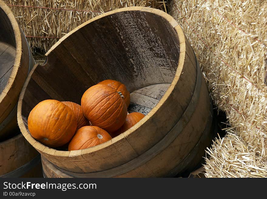 Pumpkin in a barrel