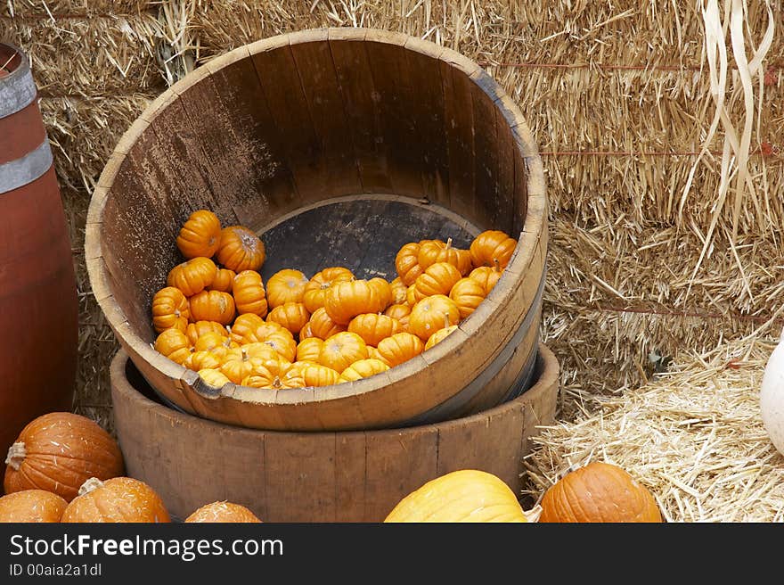 Beautiful pumpkin in diffent colors. Beautiful pumpkin in diffent colors