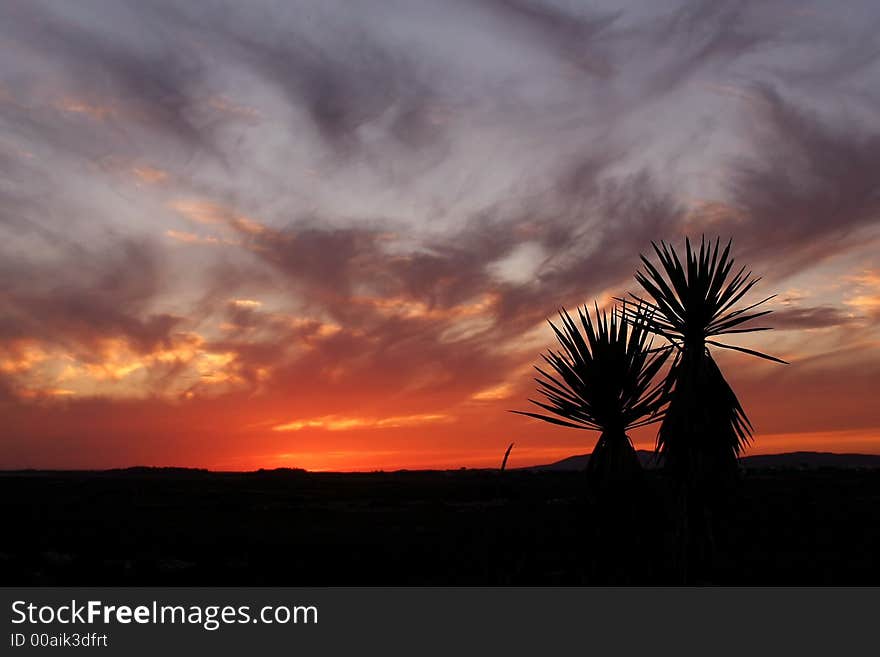 The great sunset colors, the nature colors