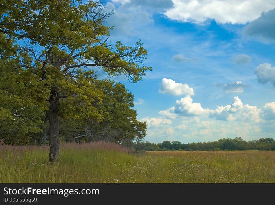 Sunny summer vibrant landscape shot. Sunny summer vibrant landscape shot