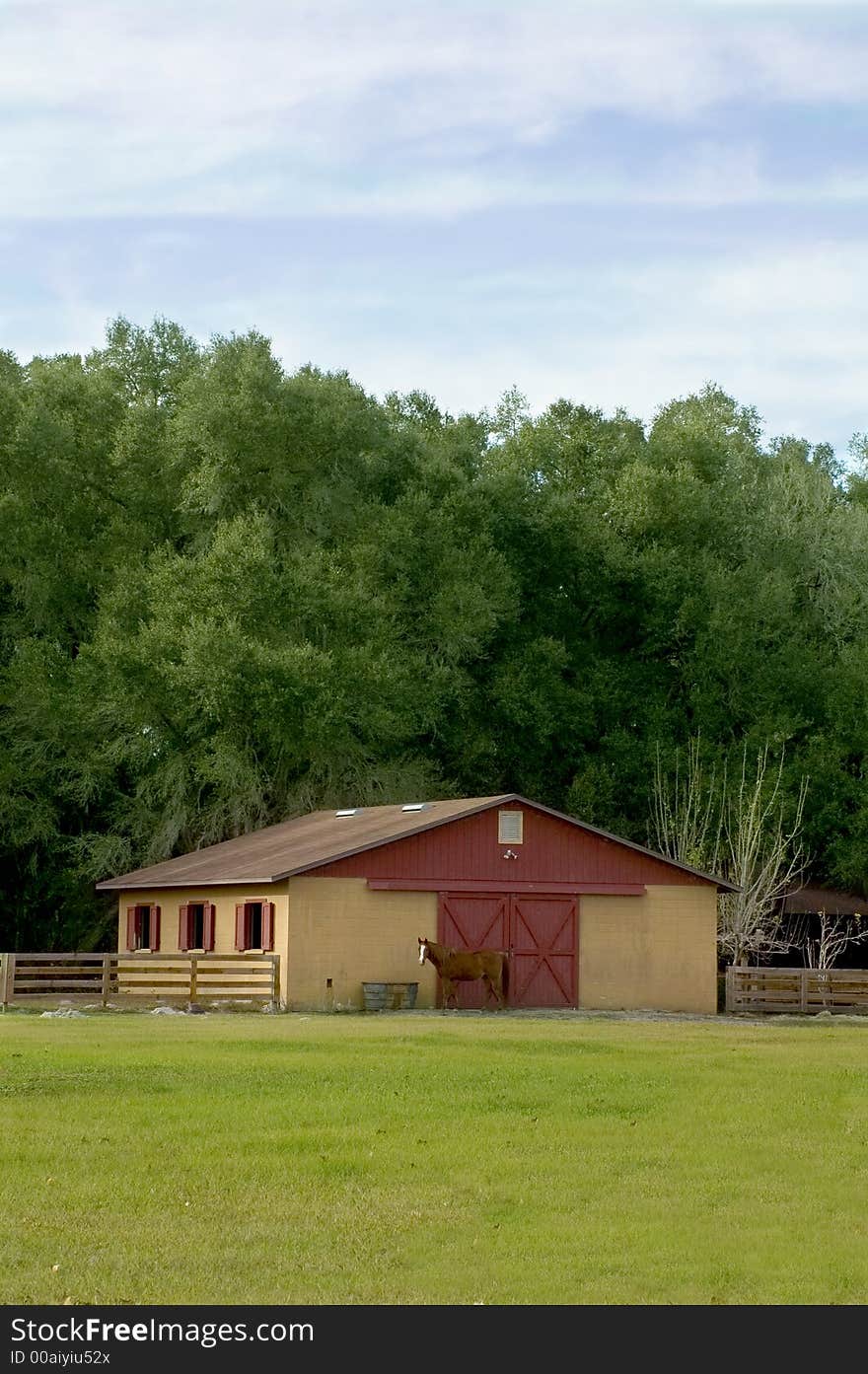 Horses enjoy their green field and red and orange barn. Horses enjoy their green field and red and orange barn.