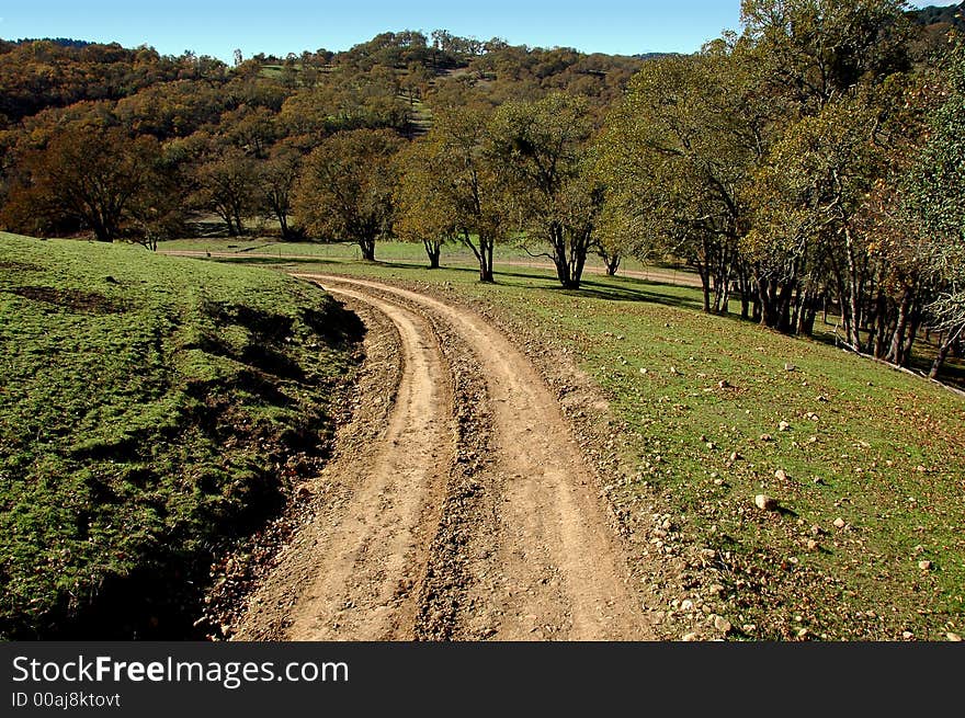 A dirt road through the beautiful Napa Valley, Calif. A dirt road through the beautiful Napa Valley, Calif