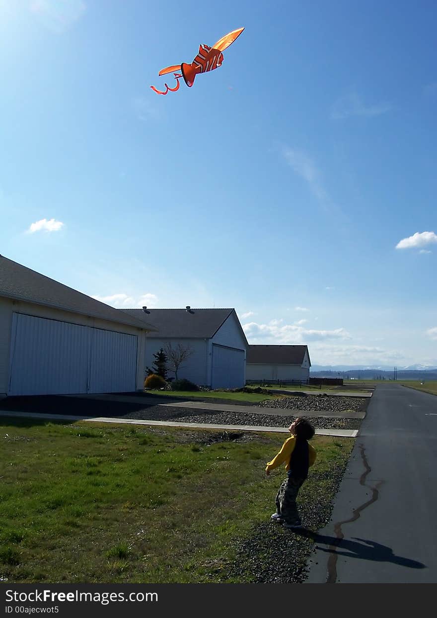 6 years old boy playing with kite. 6 years old boy playing with kite