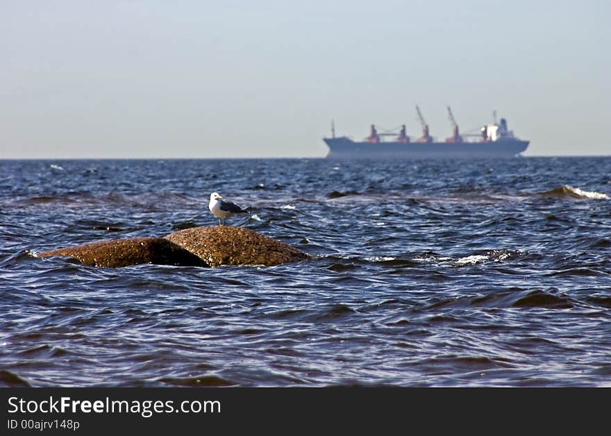 Marine view with a seagull