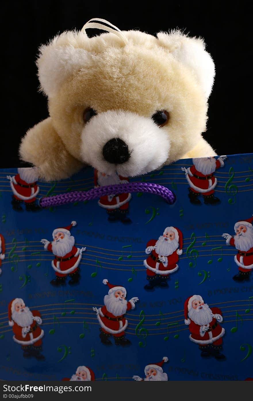 Teddybear in blue christmas bag isolated on black background. Teddybear in blue christmas bag isolated on black background