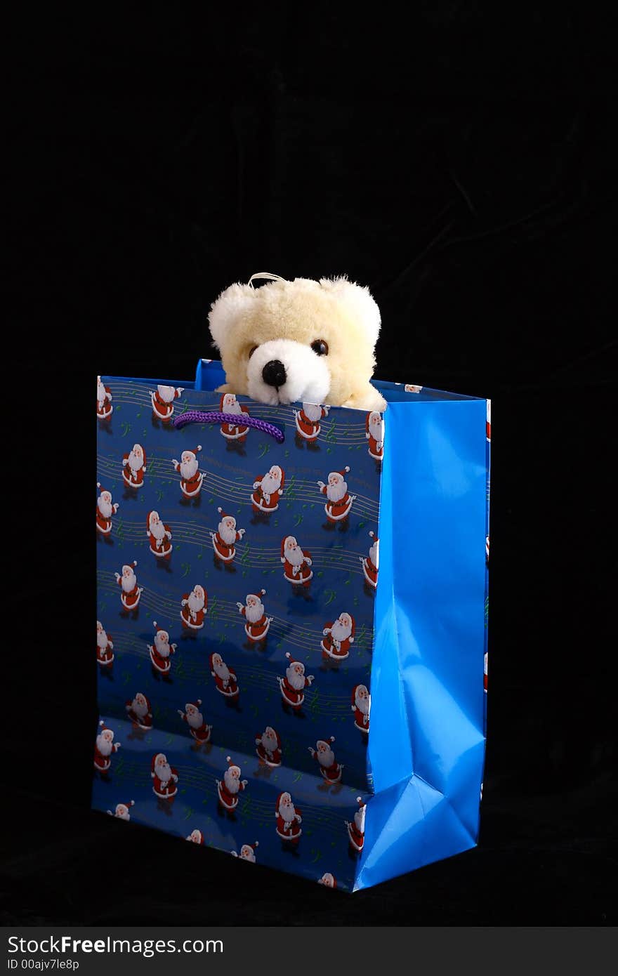 Bear In Christmas Bag