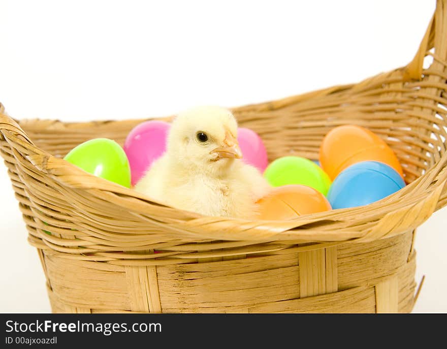 A baby yellow chick sits in a basket with a collection of colorful Easter eggs. A baby yellow chick sits in a basket with a collection of colorful Easter eggs.