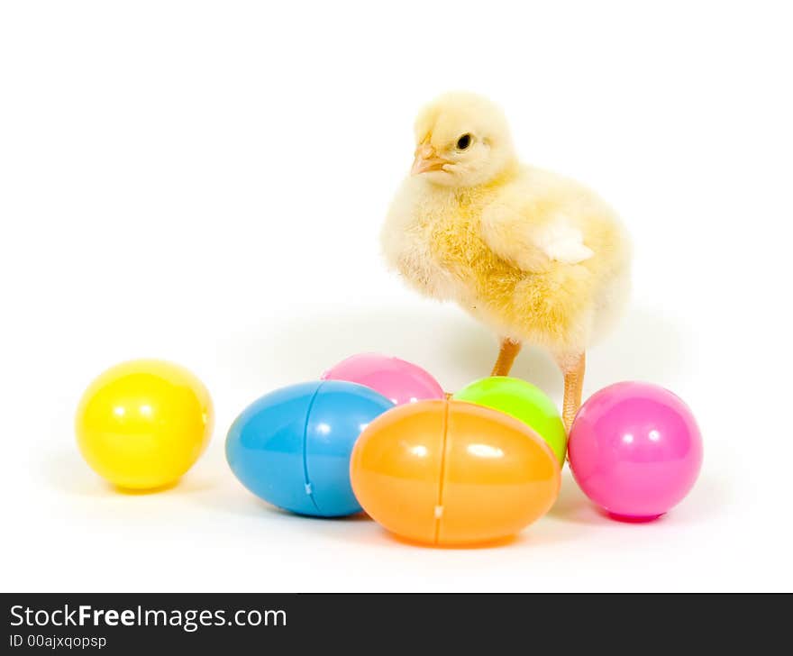 A baby chick stands behind several colorful plastic Easter eggs on white background. A baby chick stands behind several colorful plastic Easter eggs on white background
