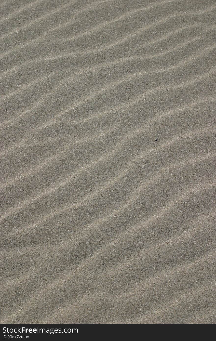 Sand Ripples