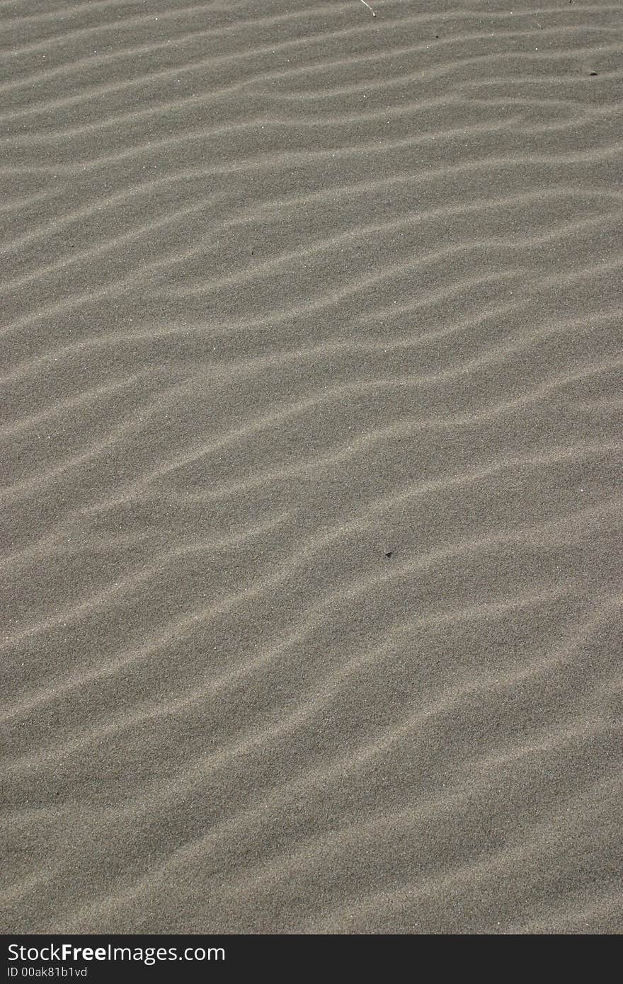 Sand Ripples