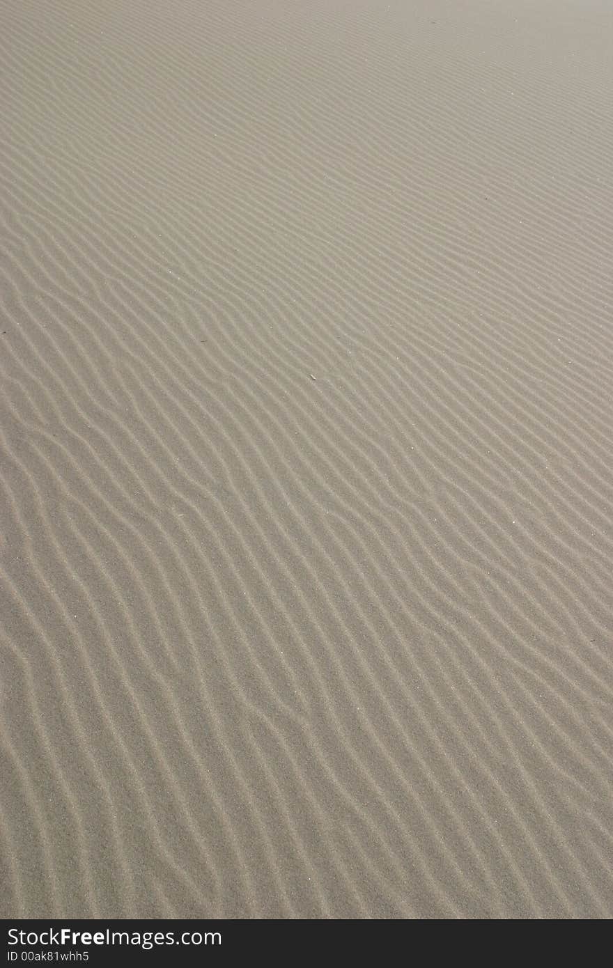 Sand Ripples