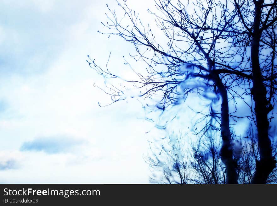 A rainy day in Izmir, distorted trees