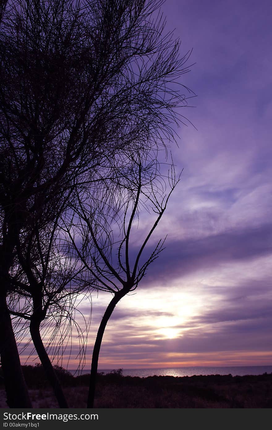 Beautiful sunrise over silhouette of tree. Beautiful sunrise over silhouette of tree