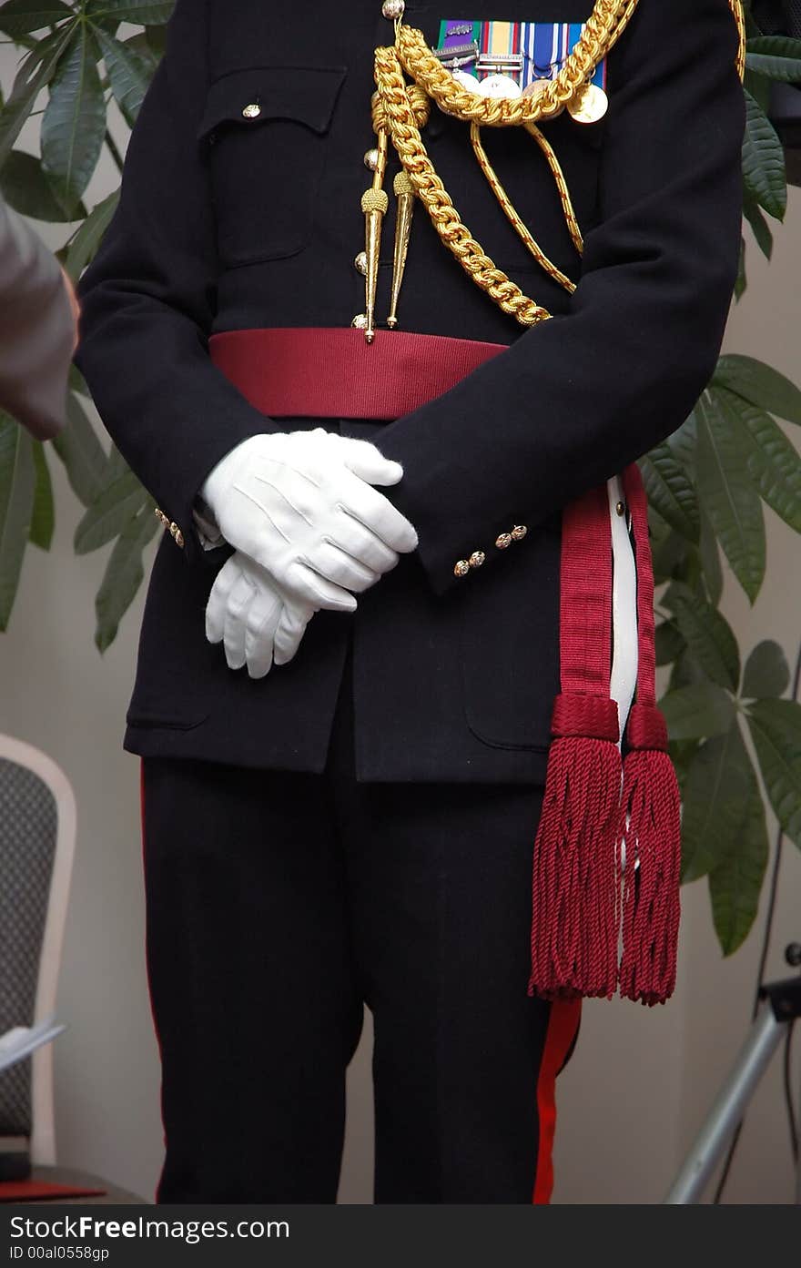 English royal officer standing in conference room