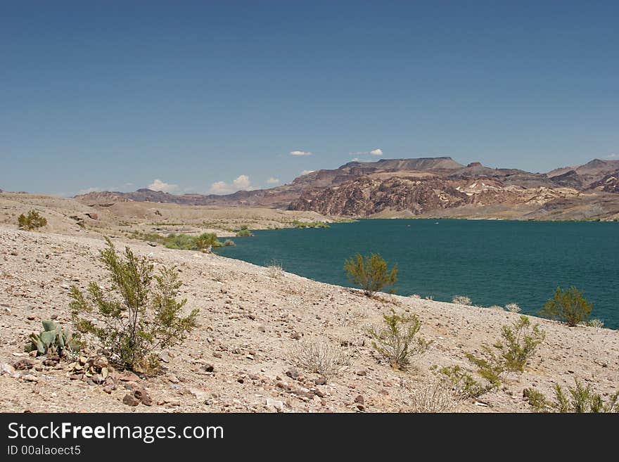 Desert oasis