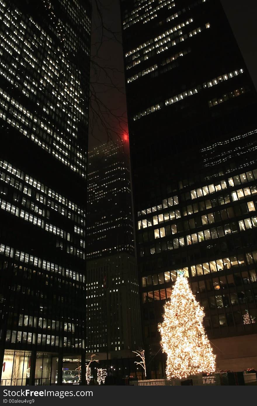 Christmas tree between high rise buildings in Toronto downtown. Christmas tree between high rise buildings in Toronto downtown