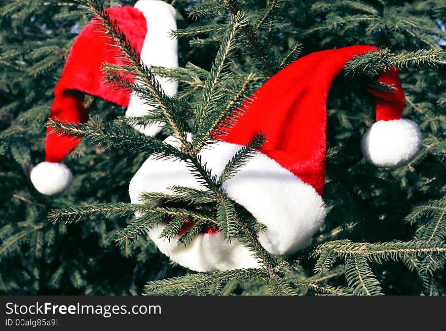 Pretty christmas hats hangs on a christmas tree. Pretty christmas hats hangs on a christmas tree.