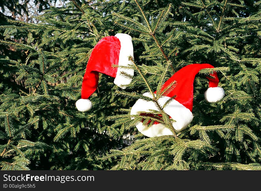 Pretty christmas hats hangs on a christmas tree. Pretty christmas hats hangs on a christmas tree.