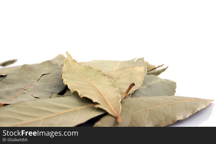 Spice - Bay Leaves close up