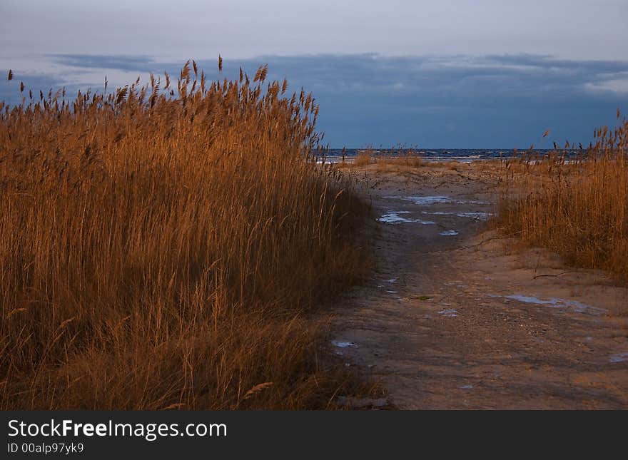 Autumn, seacoast