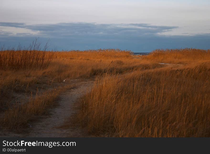 Autumn, seacoast