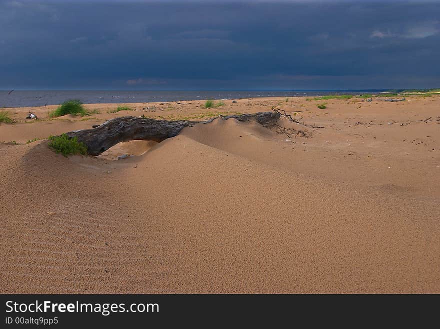 Seacoast, sandy beach