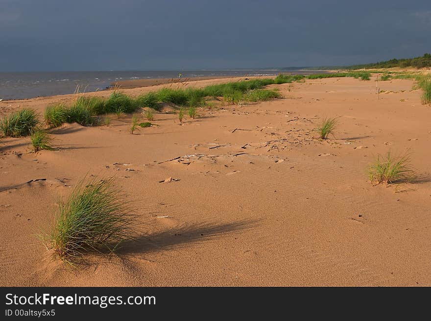 Seacoast, sandy beach