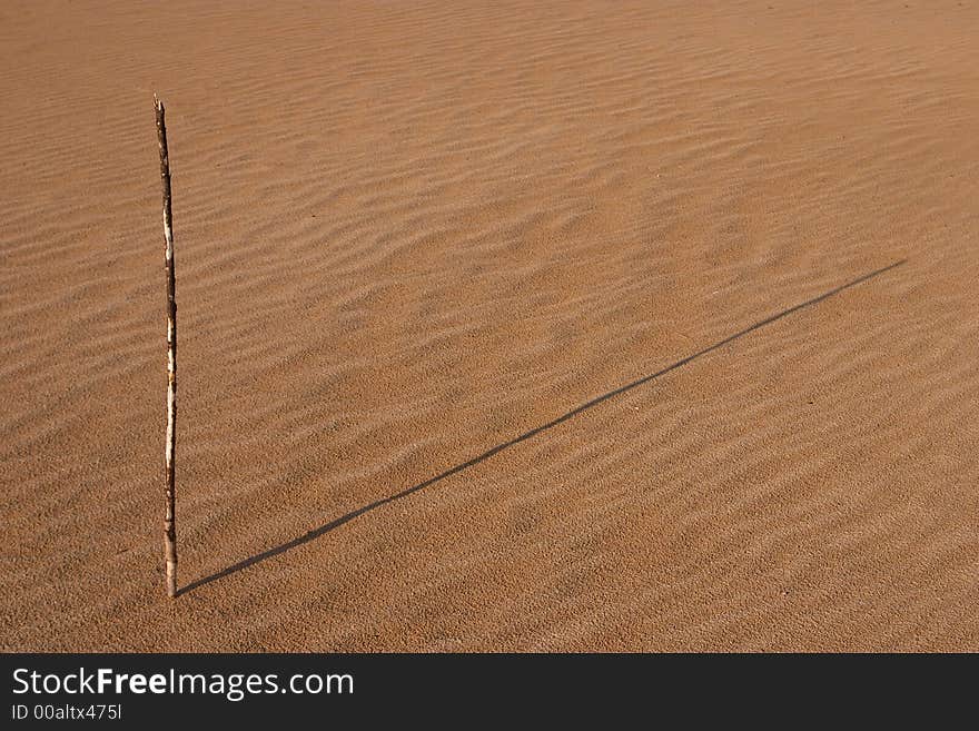 Seacoast, sandy beach