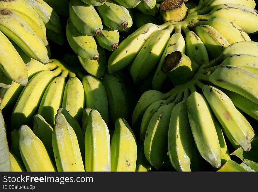 View of yellow bananas in bunches