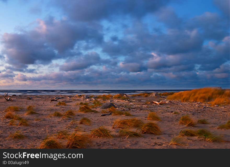 Seacoast, Red Grass, Blue Sky