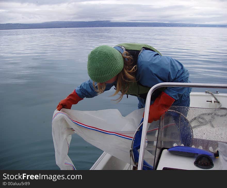 Woman leaning over in small boat pulling a net from ocean. Woman leaning over in small boat pulling a net from ocean