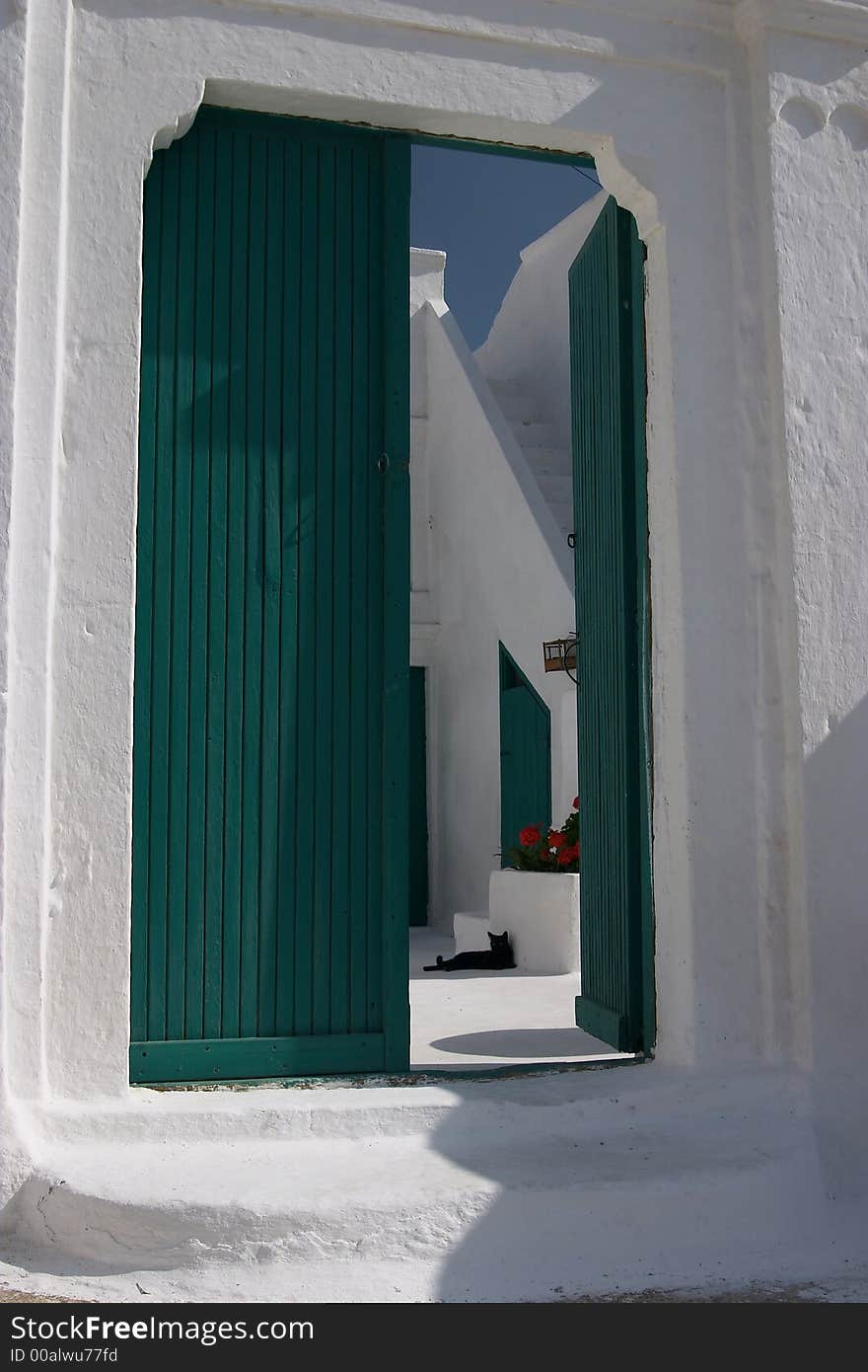 Black cat across green door. Black cat across green door