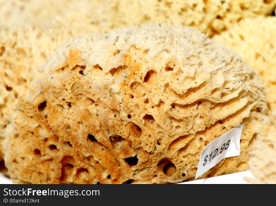 Photo shot of sponges for sale

~Tarpon Springs Sponge Docks~