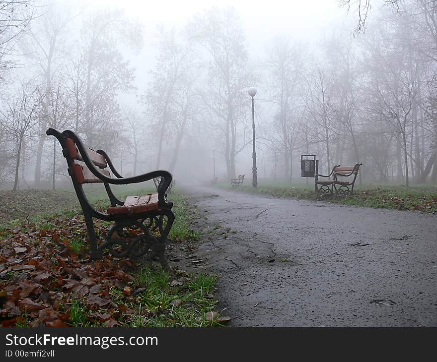 Red bench in the fog. Red bench in the fog