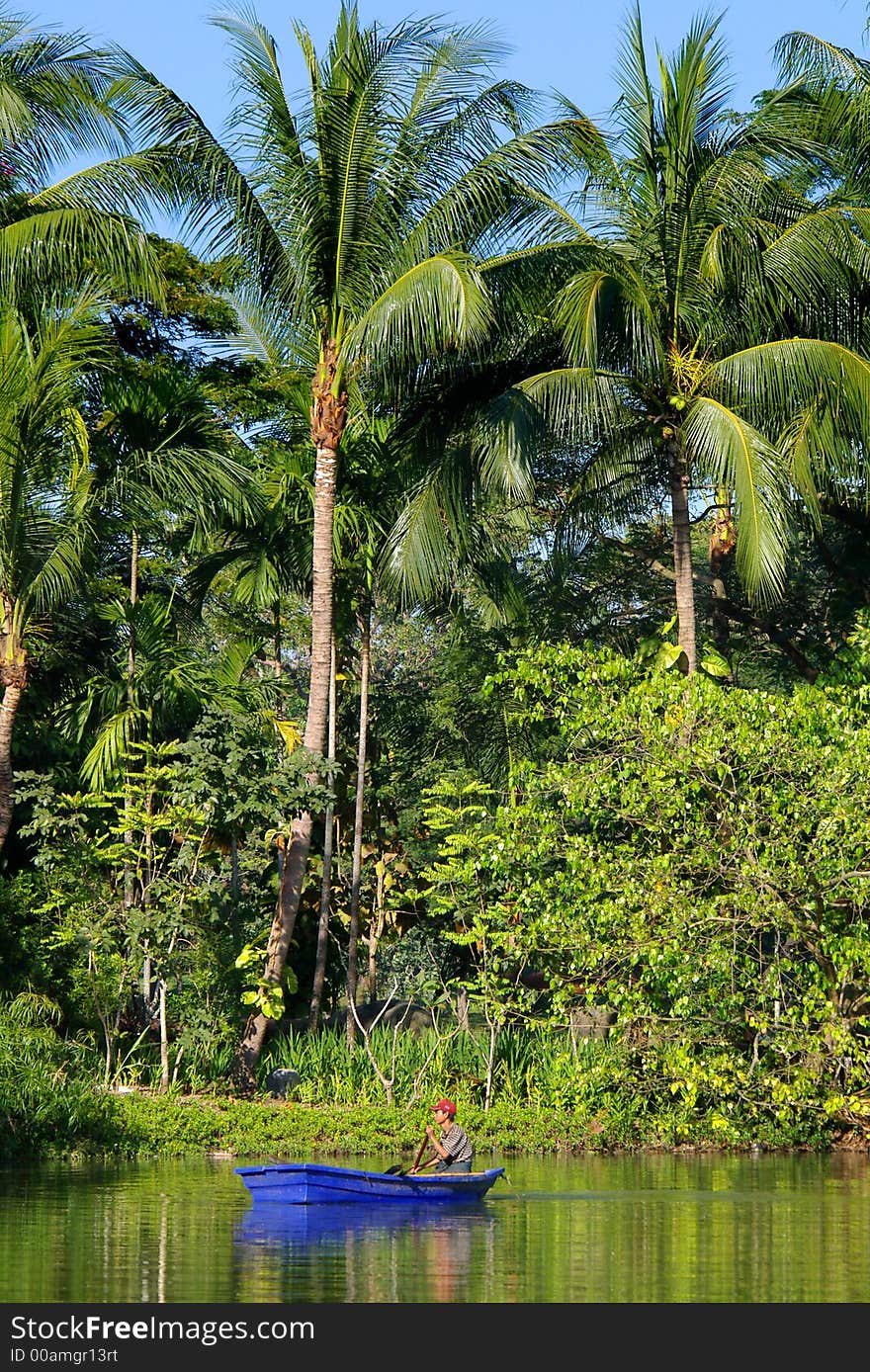 Man in blue boat on palm tree coastline background