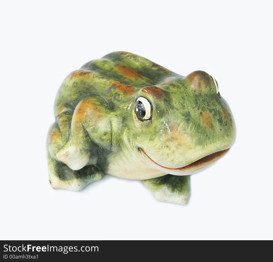 Frog isolated on a white background