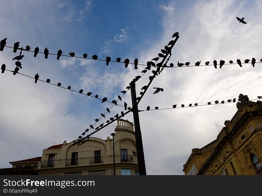 Pigeon Mail