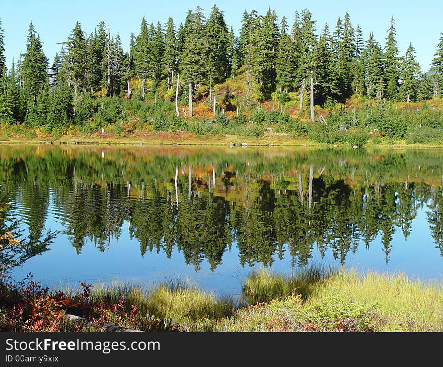 Fall Reflection