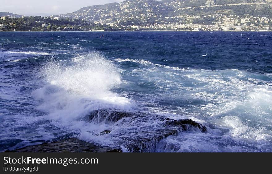 Wild Sea Spray