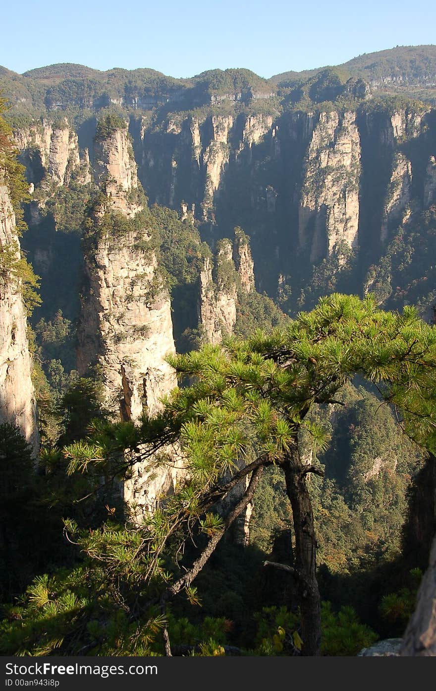 View of china forest reserve from a viewing platform. View of china forest reserve from a viewing platform