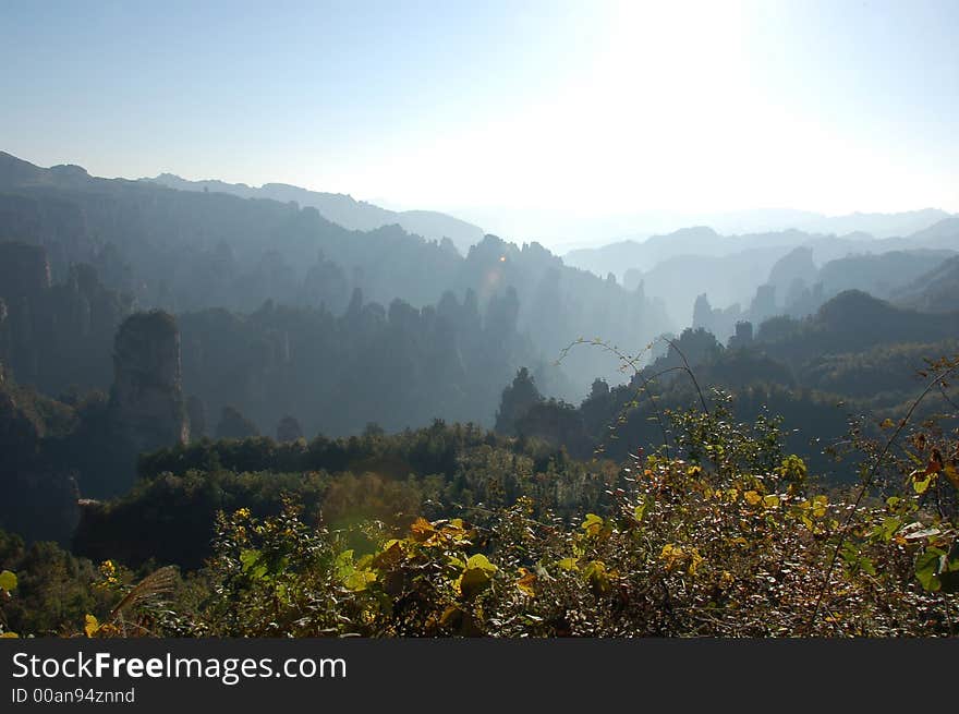 View of china forest reserve from a viewing platform. View of china forest reserve from a viewing platform