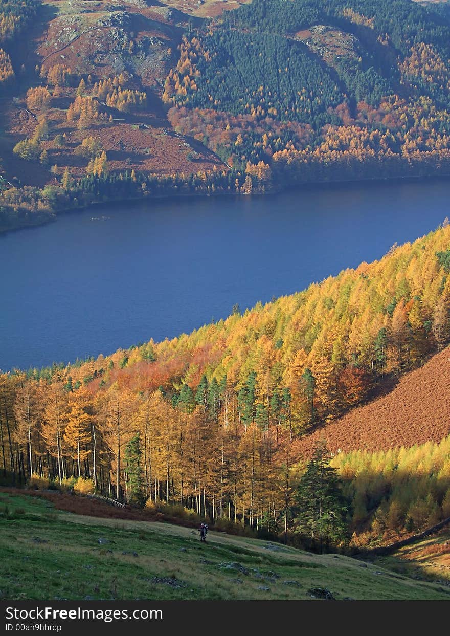 Autumn Colours by Thirlmere in the English Lake District