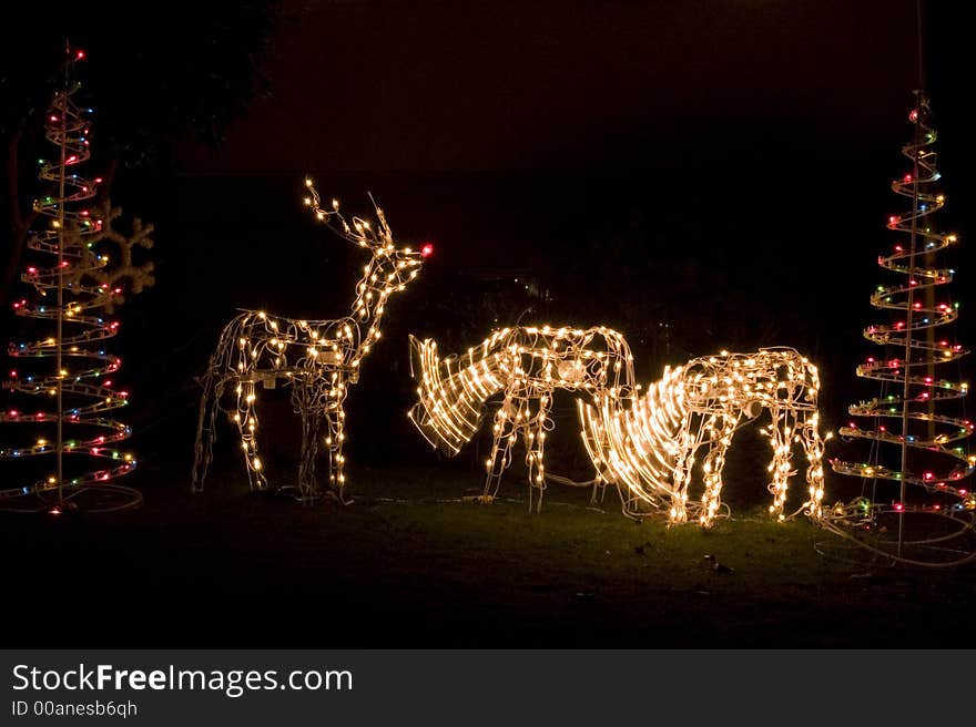 A festival of lights and ornaments for Christmas. A festival of lights and ornaments for Christmas