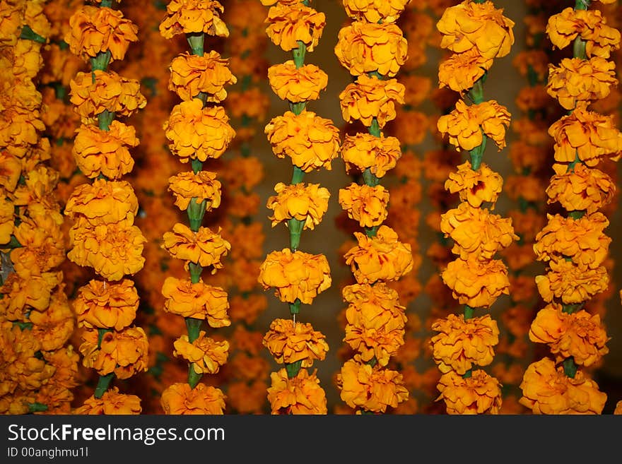 Ropes made with yellow flowers. Ropes made with yellow flowers.