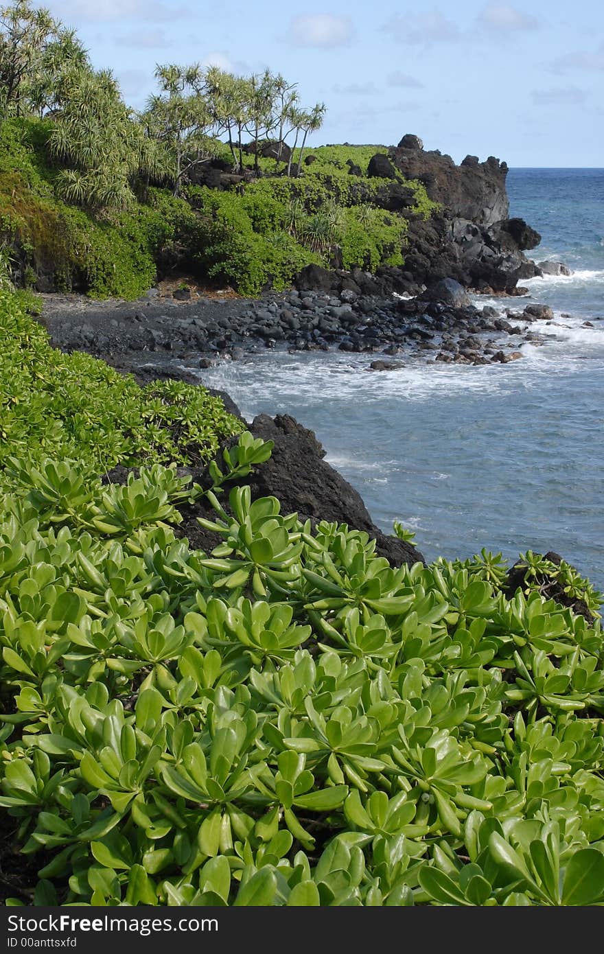 Waianapanapa Coastline