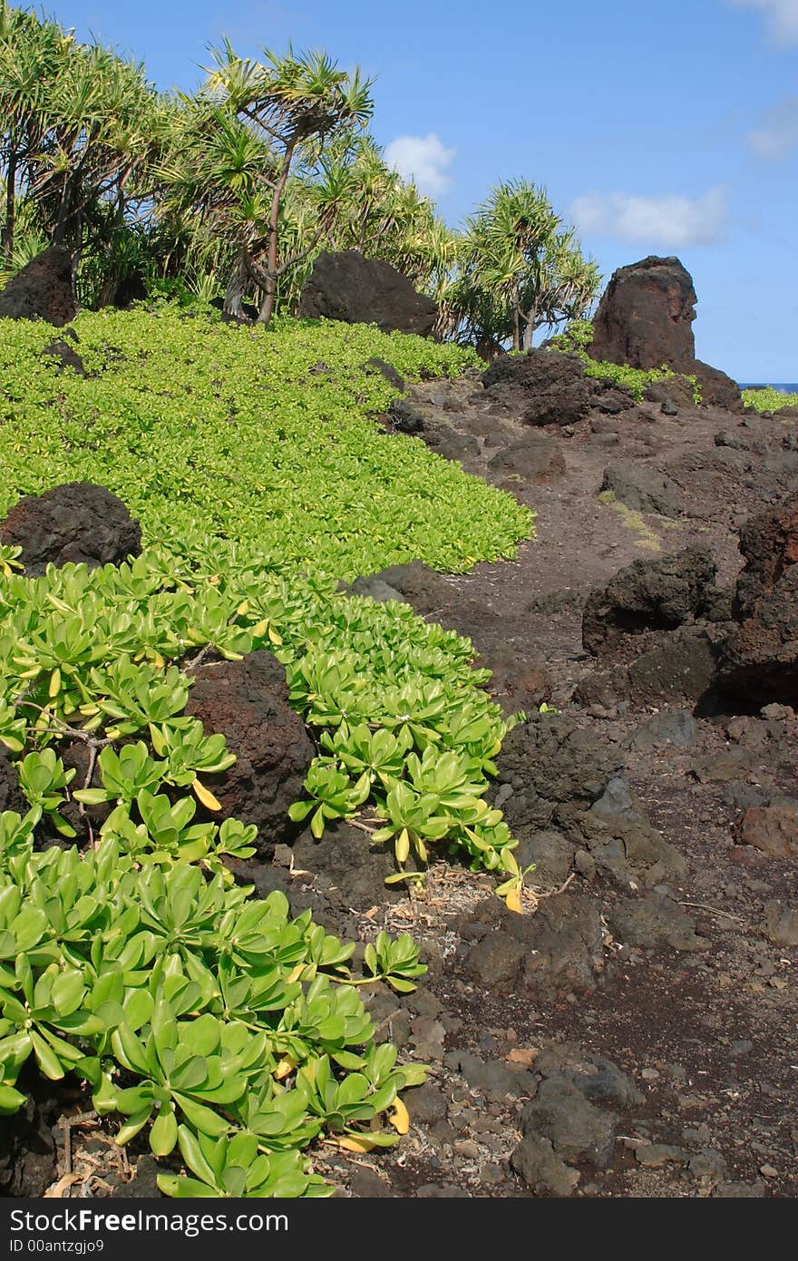 Waianapanapa State Park